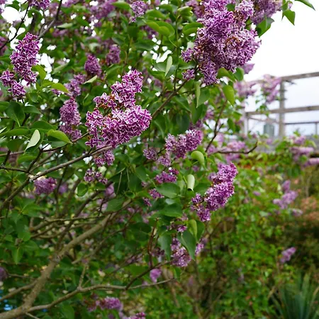 Weiherhof * Ehrenberg (Hessen)